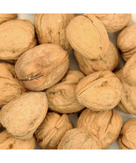 Whole Walnuts In Shells Parrot Treat - 350g 